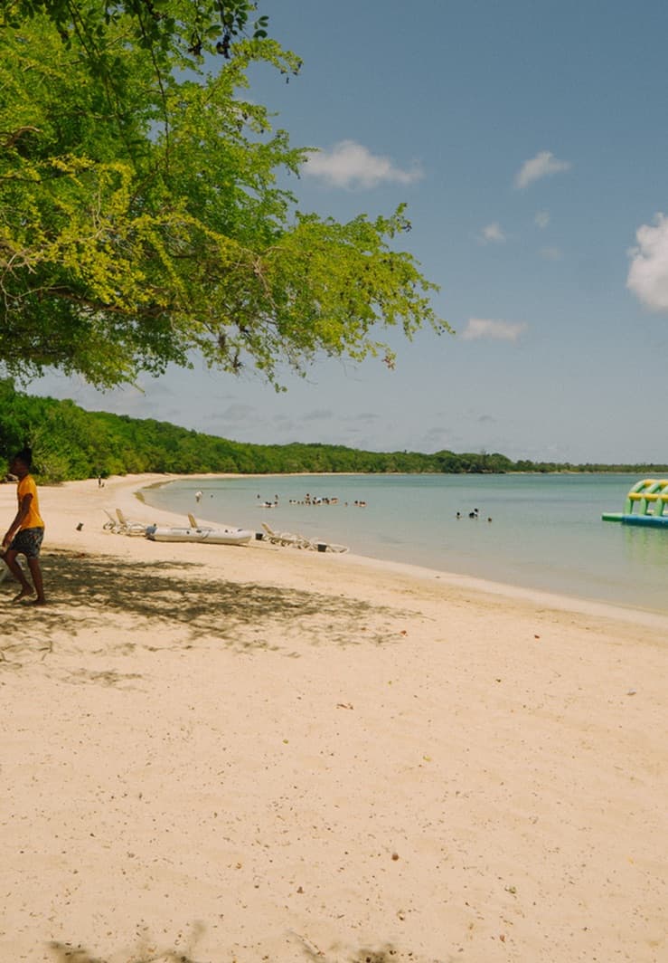 Swimmers in a calm bay beside a tree-lined beach
