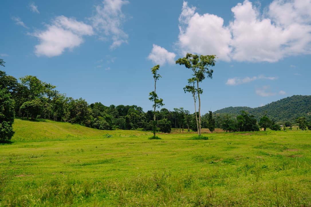A green field and forested hills