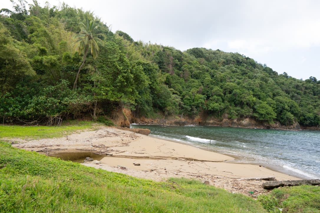 A small sandy cove surrounded by forested hills
